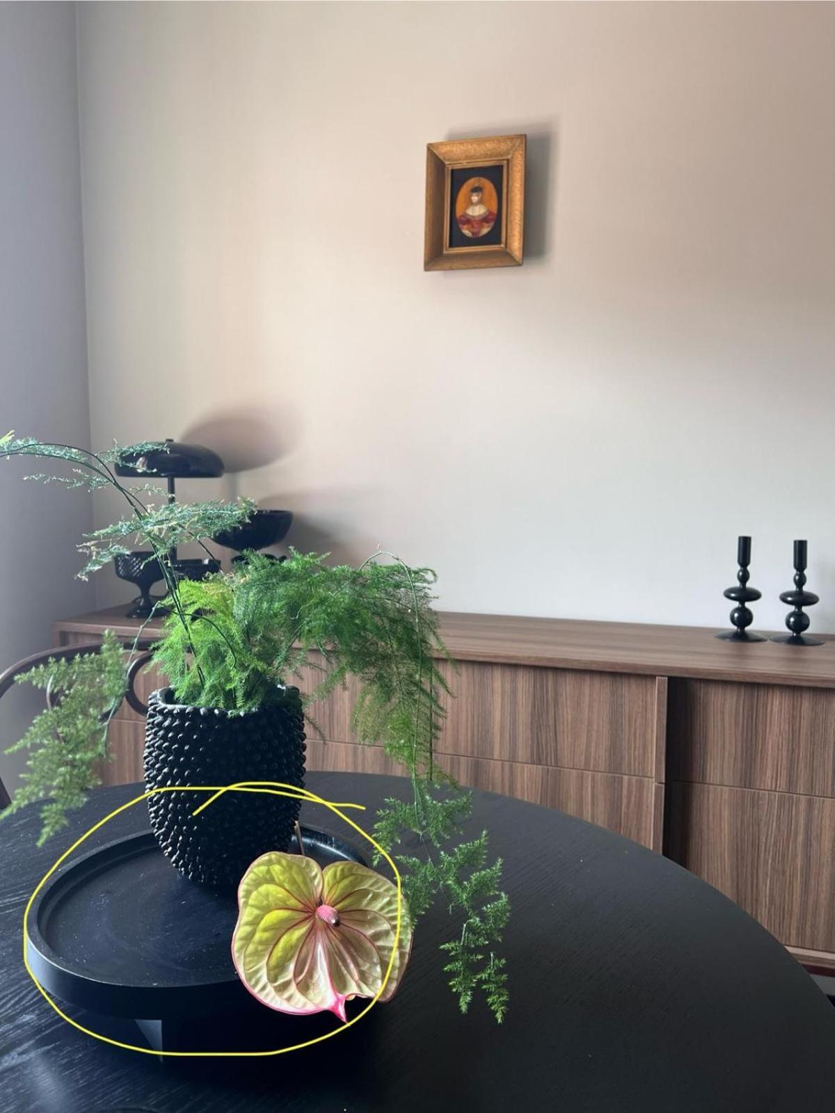 Entu Apartamenty Odrzanska Wrocław Eksteriør billede